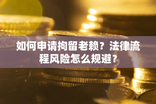 北京如何申请拘留老赖？法律流程风险怎么规避？