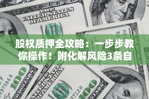 北京股权质押全攻略：一步步教你操作！附化解风险3条自救法则