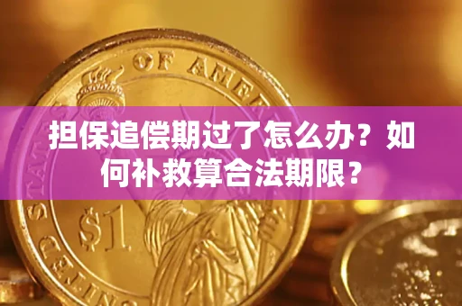 北京担保追偿期过了怎么办？如何补救算合法期限？
