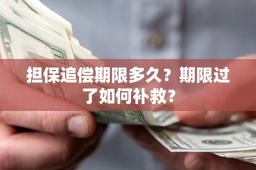 北京担保追偿期限多久？期限过了如何补救？