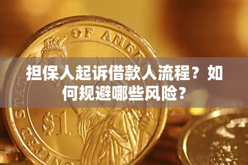北京担保人起诉借款人流程？如何规避哪些风险？
