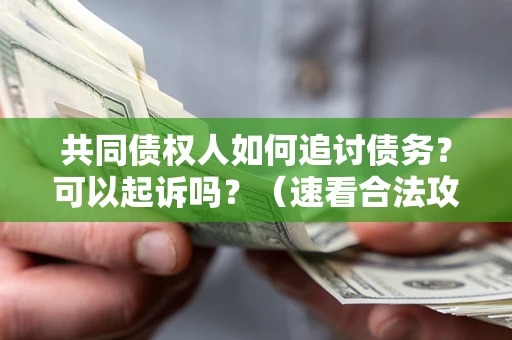 北京共同债权人如何追讨债务？可以起诉吗？（速看合法攻略）
