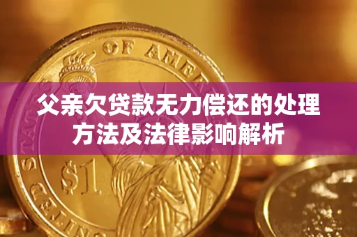 北京父亲欠贷款无力偿还的处理方法及法律影响解析