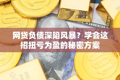北京网贷负债深陷风暴？学会这招扭亏为盈的秘密方案